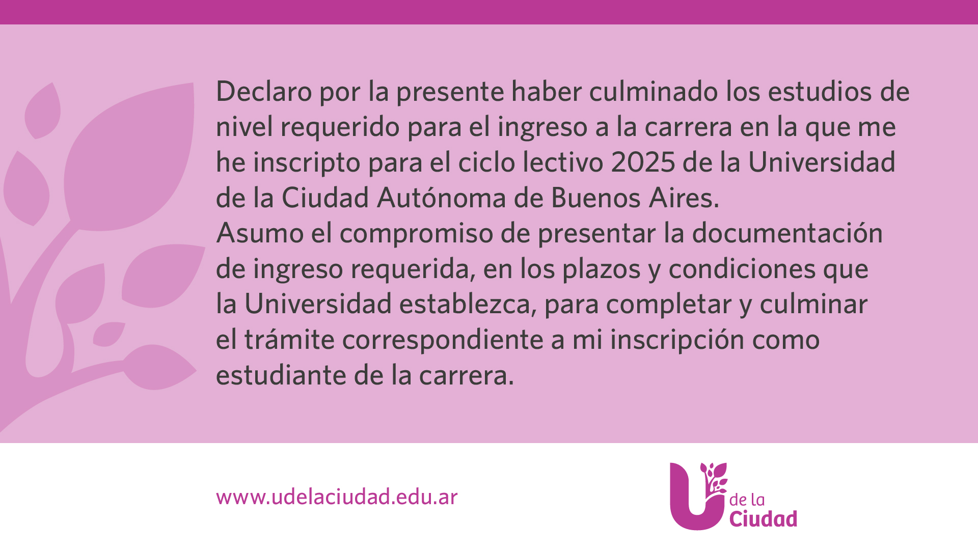 Declaración jurada respecto de la documentación presentada y/o la adeudada en relación a los estudios previos para el ingreso